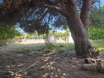 Terreno para Venda em Caparica e Trafaria