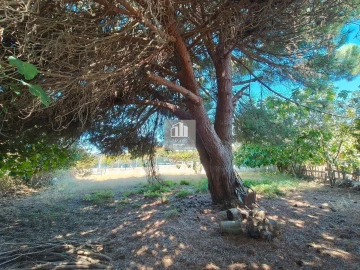 Terreno para Venda em Caparica e Trafaria