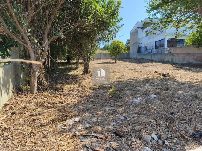 Terreno para Venda em Caparica e Trafaria Foto 16