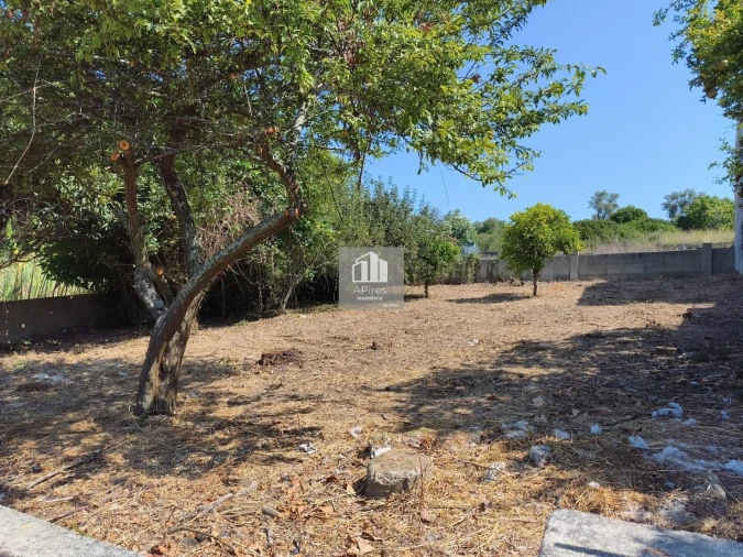 Terreno para Venda em Caparica e Trafaria Foto 17