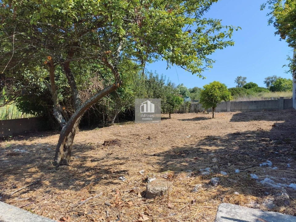 Terreno para Venda em Caparica e Trafaria Foto 17
