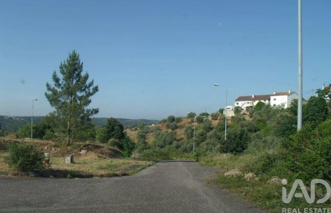 Terreno para Venda em Abrantes (São Vicente e São João) e Alferrarede Foto 3