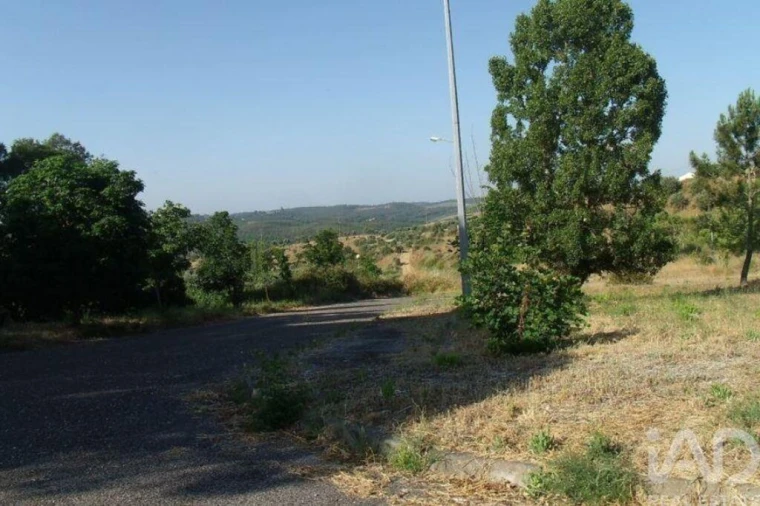 Terreno para Venda em Abrantes (São Vicente e São João) e Alferrarede Foto 2