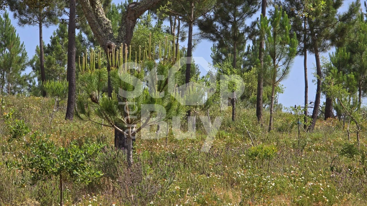 Quinta T1 para Venda em Sines Foto 6