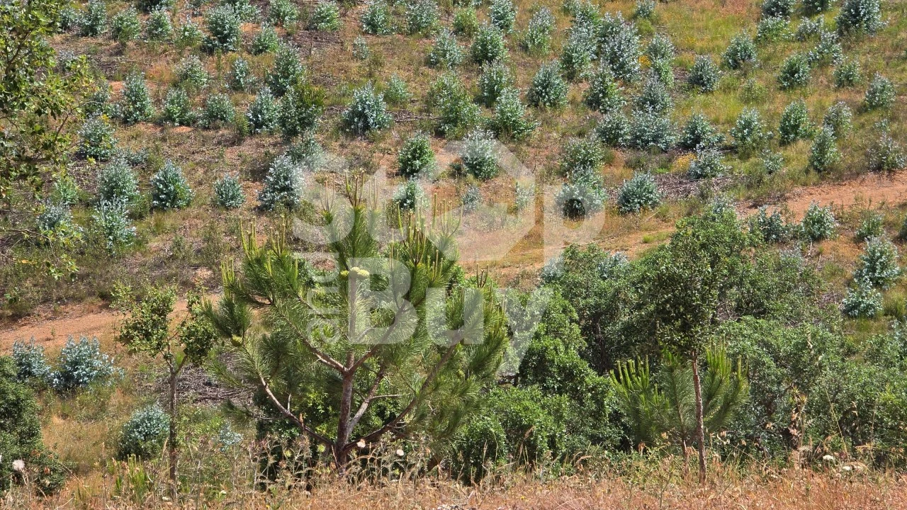 Quinta T1 para Venda em Sines Foto 16