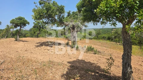Quinta T1 para Venda em Sines