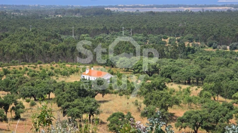 Quinta T1 para Venda em Sines