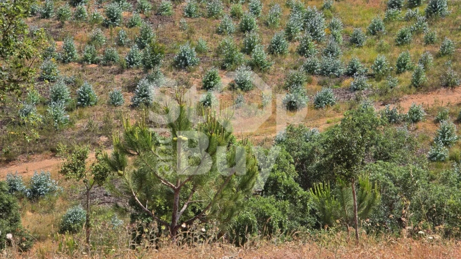 Quinta T1 para Venda em Sines Foto 16