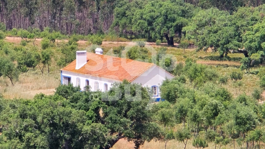 Quinta T5 para Venda em Sines