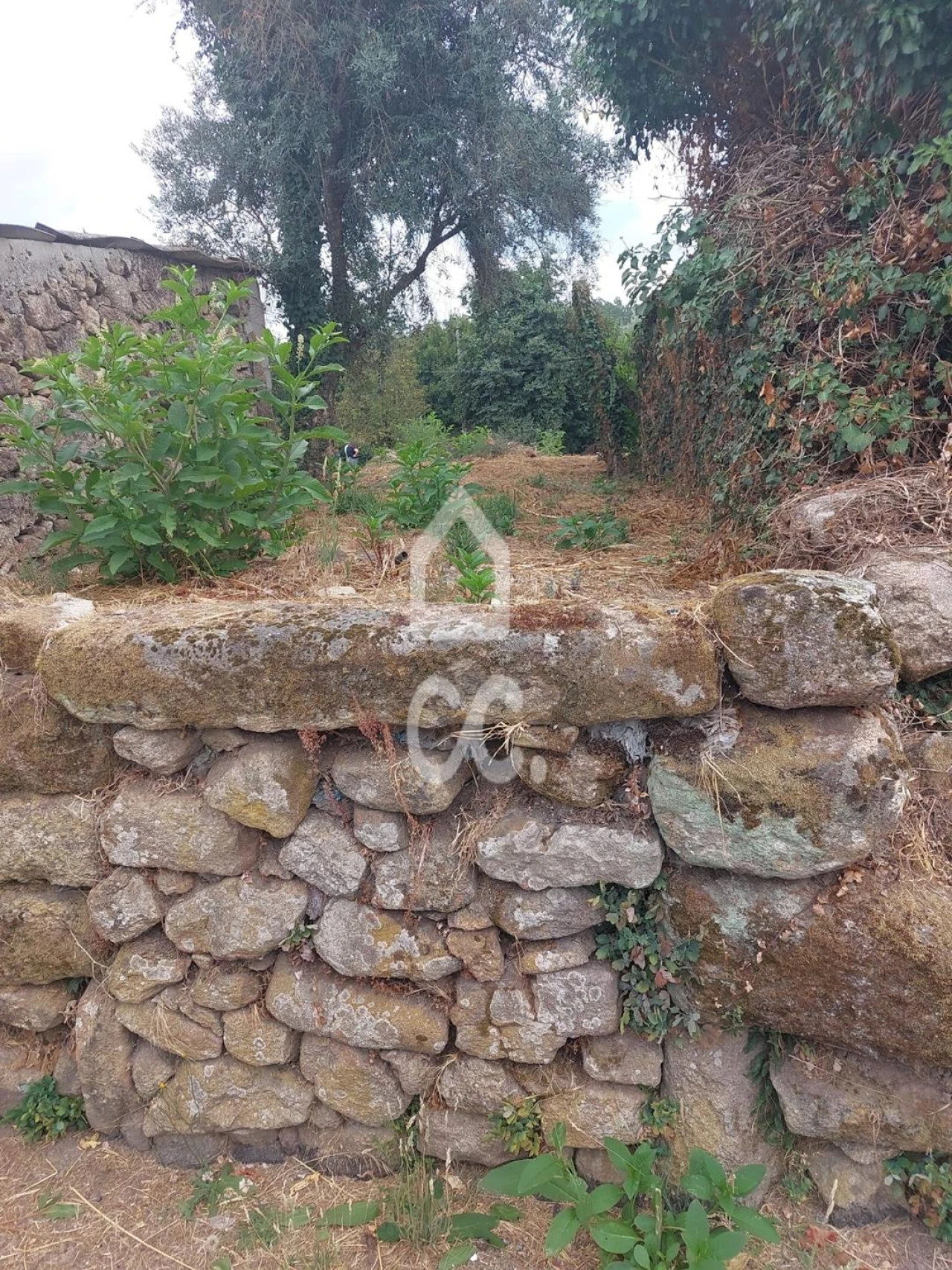 Moradia T3 para Venda em Viseu Foto 13