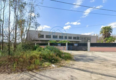 Armazém para Venda em Préstimo e Macieira de Alcoba