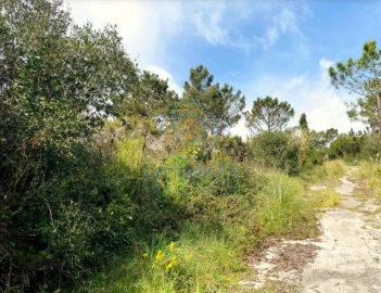 Terreno para Venda em Agualva e Mira-Sintra