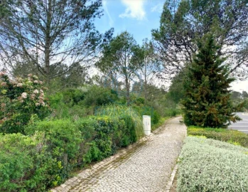 Terreno para Venda em Agualva e Mira-Sintra