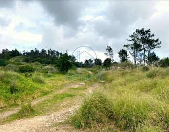 Terreno para Venda em Agualva e Mira-Sintra