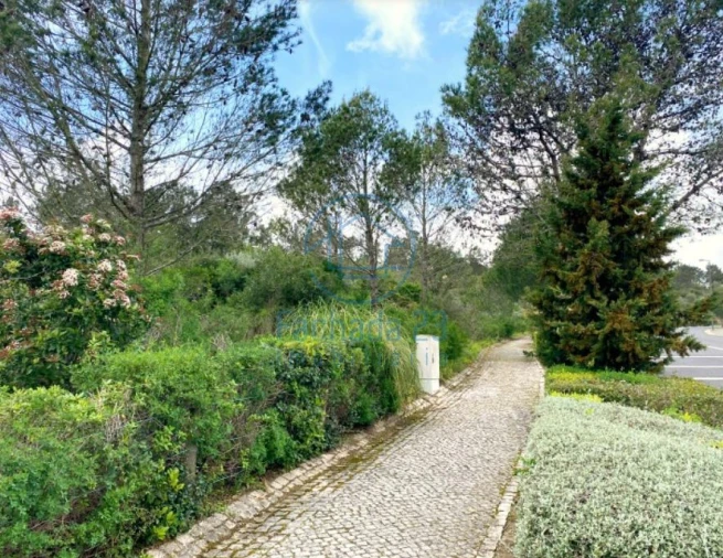 Terreno para Venda em Agualva e Mira-Sintra Foto 5