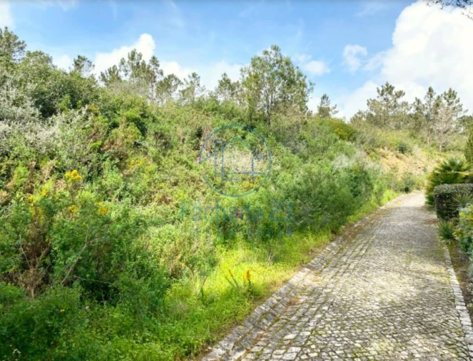 Terreno para Venda em Agualva e Mira-Sintra Foto 6