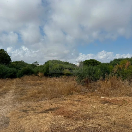 Terreno para Venda em Lagos (São Sebastião e Santa Maria) Foto 3