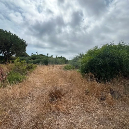 Terreno para Venda em Lagos (São Sebastião e Santa Maria) Foto 2