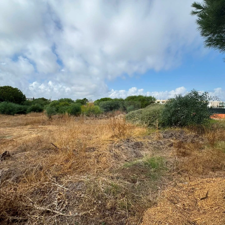 Terreno para Venda em Lagos (São Sebastião e Santa Maria) Foto 3