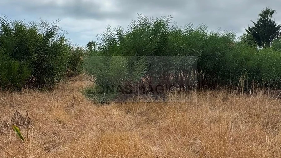 Terreno para Venda em Lagos (São Sebastião e Santa Maria)