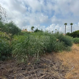 Terreno para Venda em Lagos (São Sebastião e Santa Maria)