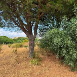 Terreno para Venda em Lagos (São Sebastião e Santa Maria)