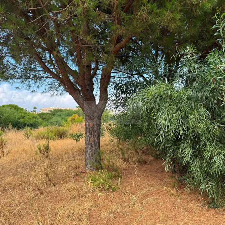 Terreno para Venda em Lagos (São Sebastião e Santa Maria) Foto 2