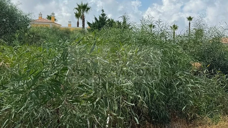 Terreno para Venda em Lagos (São Sebastião e Santa Maria)