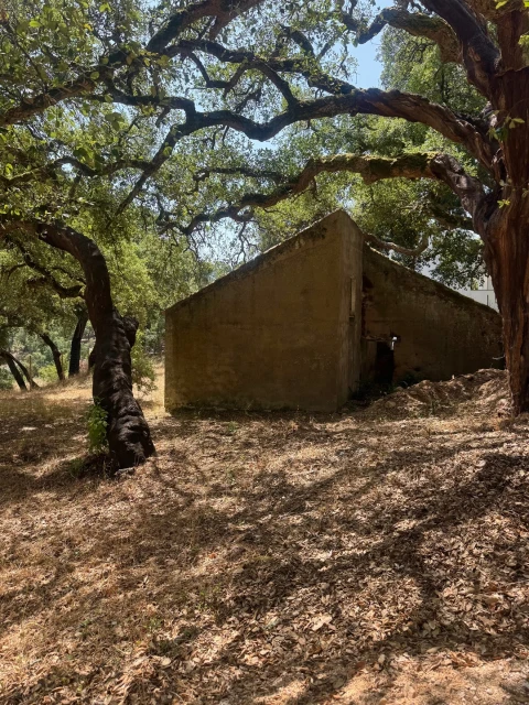 Terreno para Venda em Marmelete