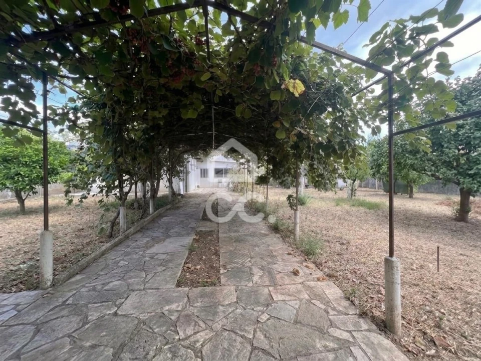 Terreno para Venda em São Domingos de Rana Foto 8