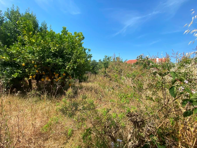 Terreno para Venda em São Domingos de Rana Foto 24