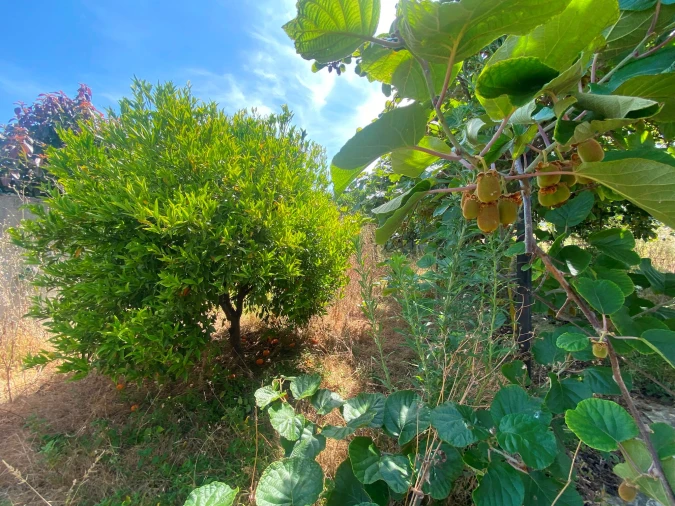 Terreno para Venda em São Domingos de Rana Foto 22