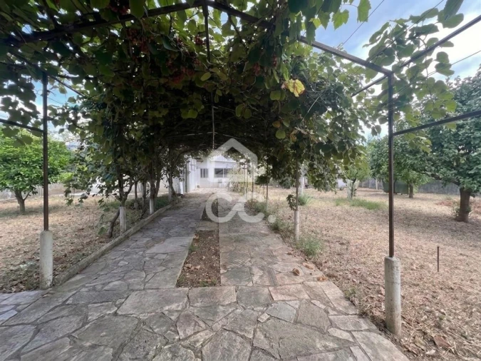Terreno para Venda em São Domingos de Rana Foto 8
