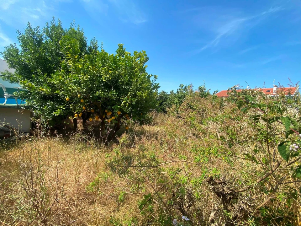 Terreno para Venda em São Domingos de Rana Foto 23