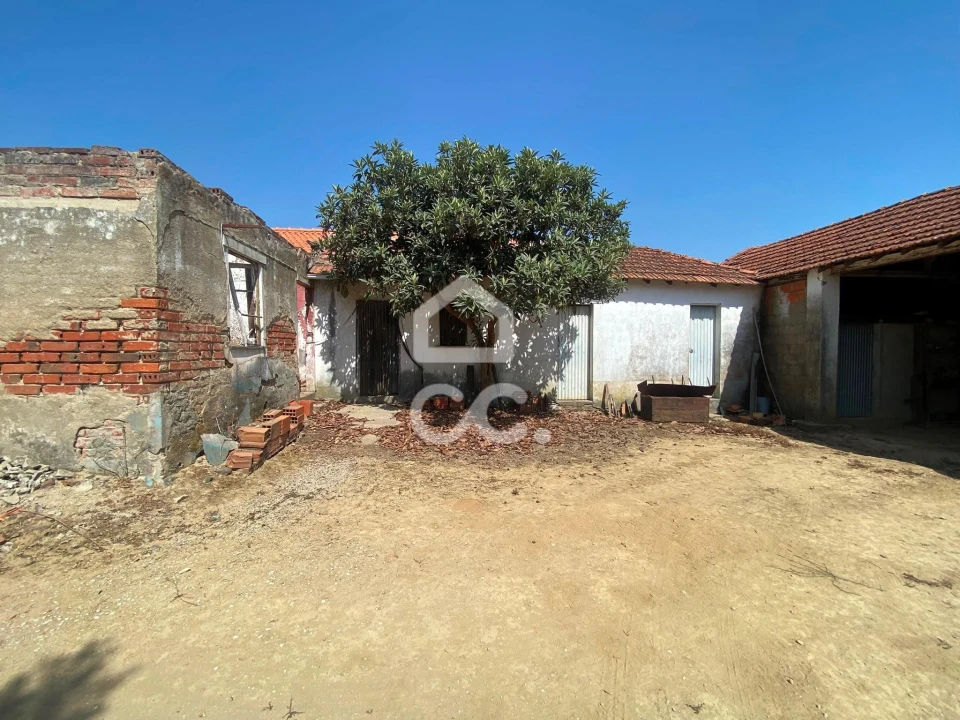 Terreno para Venda em Torres Novas (Santa Maria, Salvador e Santiago) Foto 36
