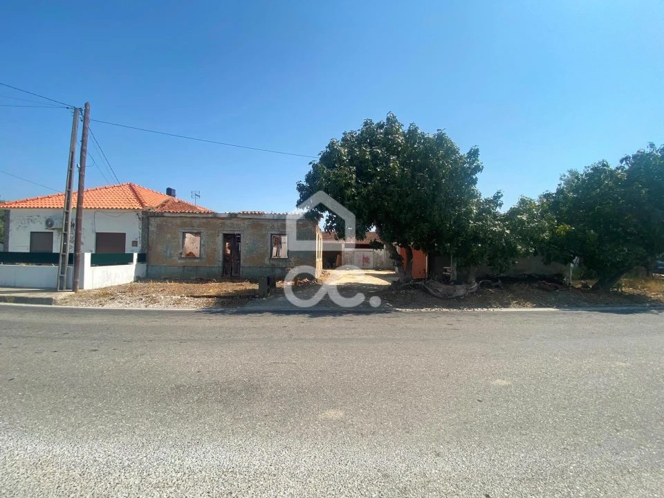 Terreno para Venda em Torres Novas (Santa Maria, Salvador e Santiago) Foto 40