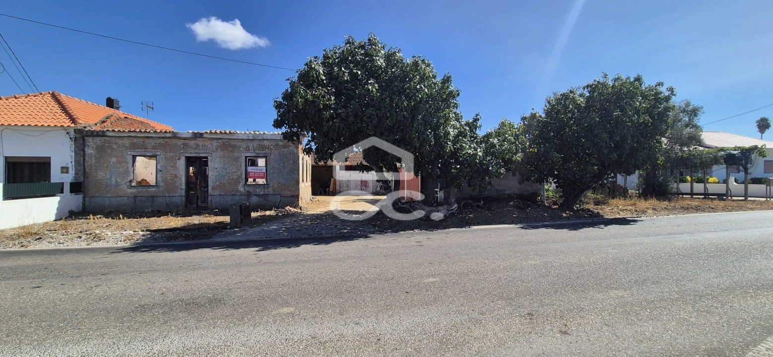 Terreno para Venda em Torres Novas (Santa Maria, Salvador e Santiago) Foto 41