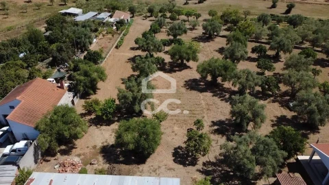 Terreno para Venda em Torres Novas (Santa Maria, Salvador e Santiago)
