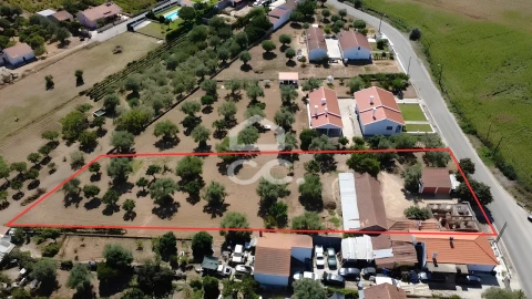 Terreno para Venda em Torres Novas (Santa Maria, Salvador e Santiago)