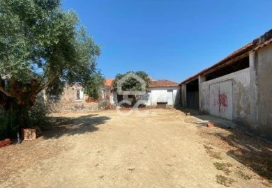 Terreno para Venda em Torres Novas (Santa Maria, Salvador e Santiago)