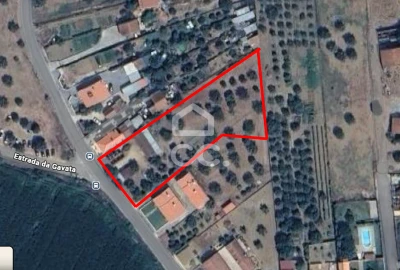 Terreno para Venda em Torres Novas (Santa Maria, Salvador e Santiago)