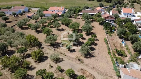 Terreno para Venda em Torres Novas (Santa Maria, Salvador e Santiago)