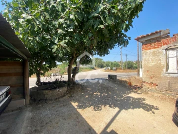 Terreno para Venda em Torres Novas (Santa Maria, Salvador e Santiago)