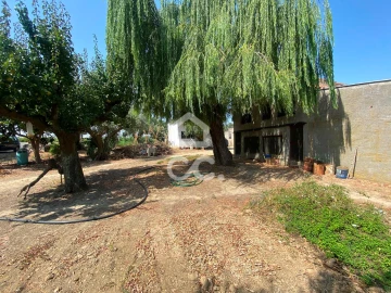 Terreno para Venda em Torres Novas (Santa Maria, Salvador e Santiago)