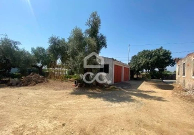 Terreno para Venda em Torres Novas (Santa Maria, Salvador e Santiago)