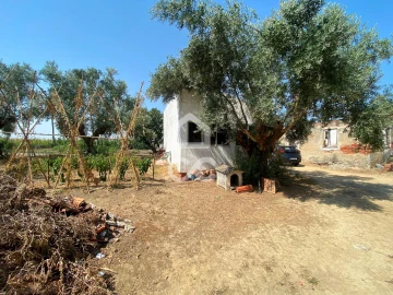 Terreno para Venda em Torres Novas (Santa Maria, Salvador e Santiago)