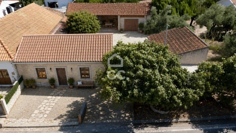 Terreno para Venda em Torres Novas (Santa Maria, Salvador e Santiago)