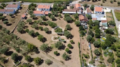 Terreno para Venda em Torres Novas (Santa Maria, Salvador e Santiago)
