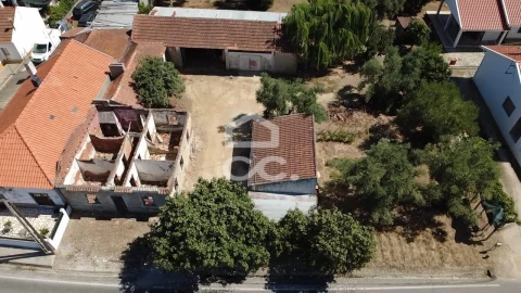 Terreno para Venda em Torres Novas (Santa Maria, Salvador e Santiago)
