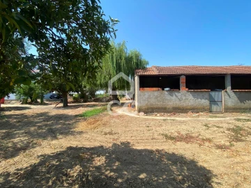 Terreno para Venda em Torres Novas (Santa Maria, Salvador e Santiago)